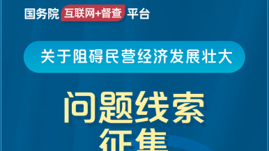 学习操逼国务院“互联网+督查”平台公开征集阻碍民营经济发展壮大问题线索